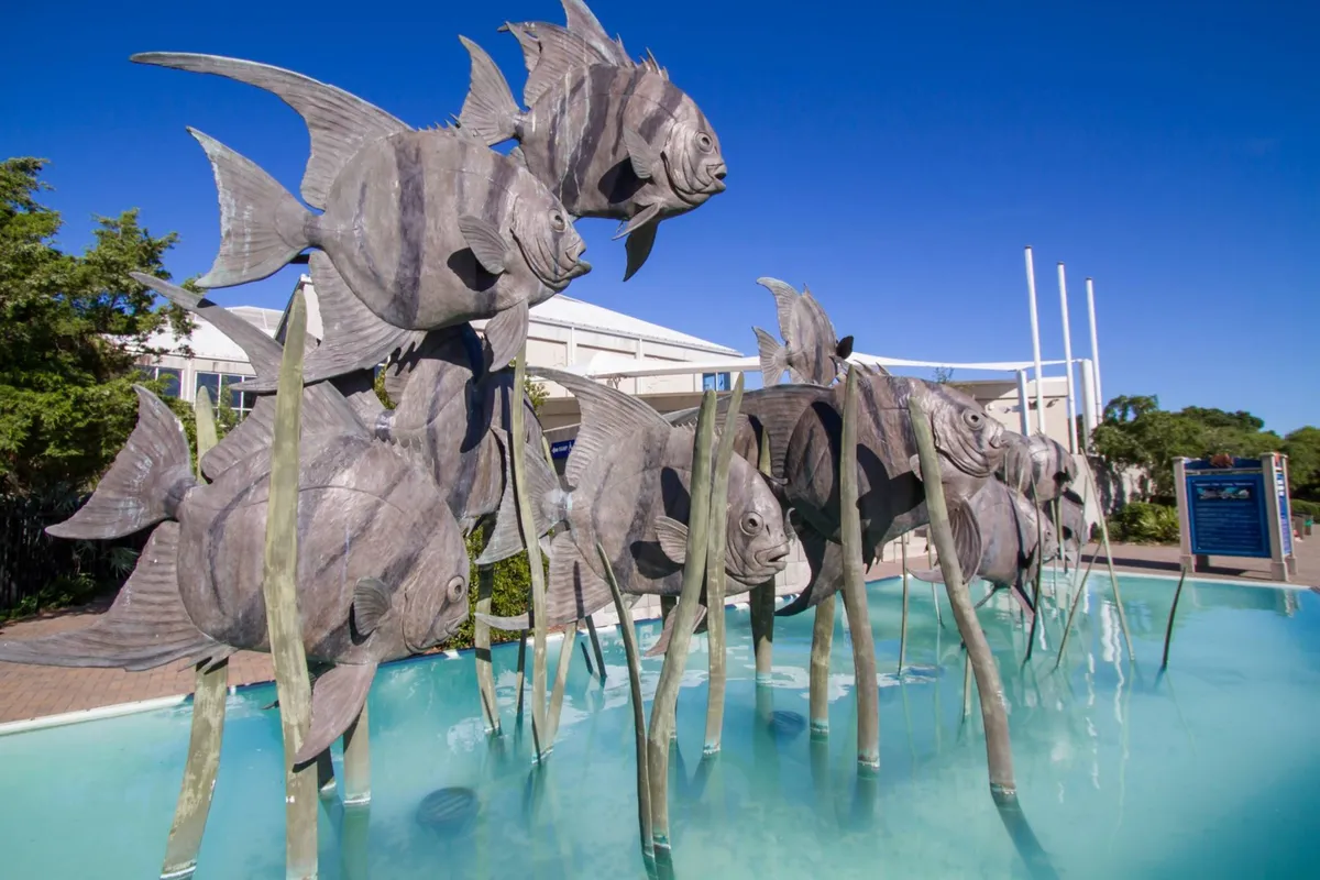 Large fish sculptures and a water feature surrounded by greenery in an outdoor setting. The playful design and artful environment evoke a sense of discovery and are perfect for family photos or educational moments.